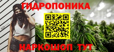 ECSTASY Гусь-Хрустальный