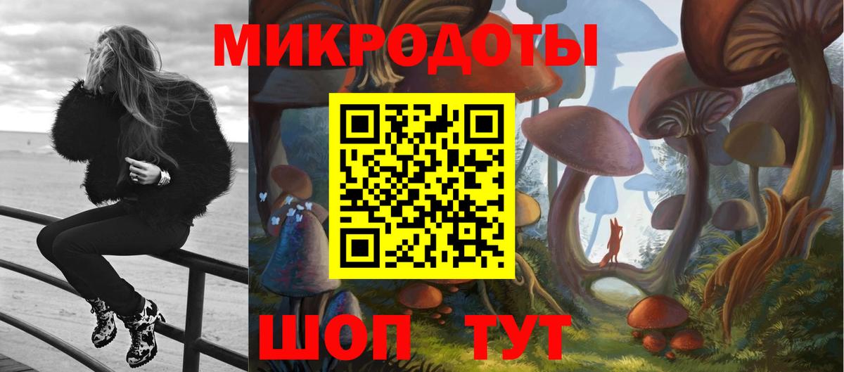 Псилоцибиновые грибы мицелий  Вход с VPN  Псилоцибиновые грибы Psilocybe  Миасс 